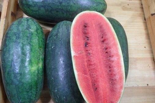 黑了吃瓜网在线,黑了吃瓜网带你领略吃瓜界的风云变幻