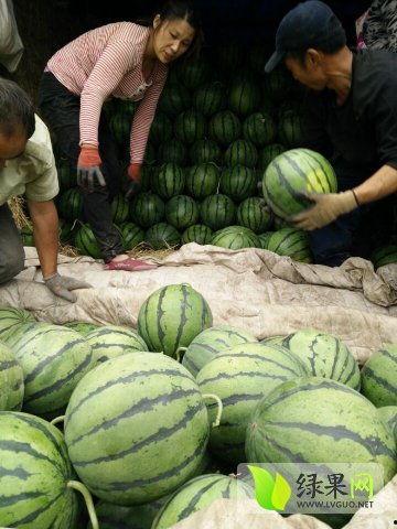 23年吃瓜最新事件网红,2023年度吃瓜大事件盘点