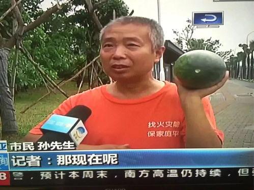 柳州吃瓜网热门事件,揭秘近期热门事件背后的真相